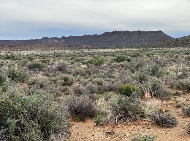 0 Bedroom Property for Sale in Williston Northern Cape
